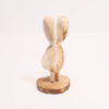 Lapin romantique
